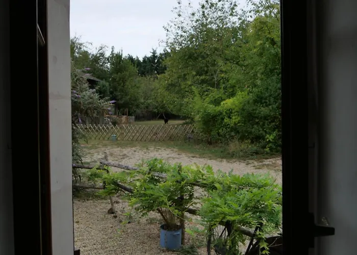 L'école Buissonnière Casa vacanze Noyant-la-Plaine